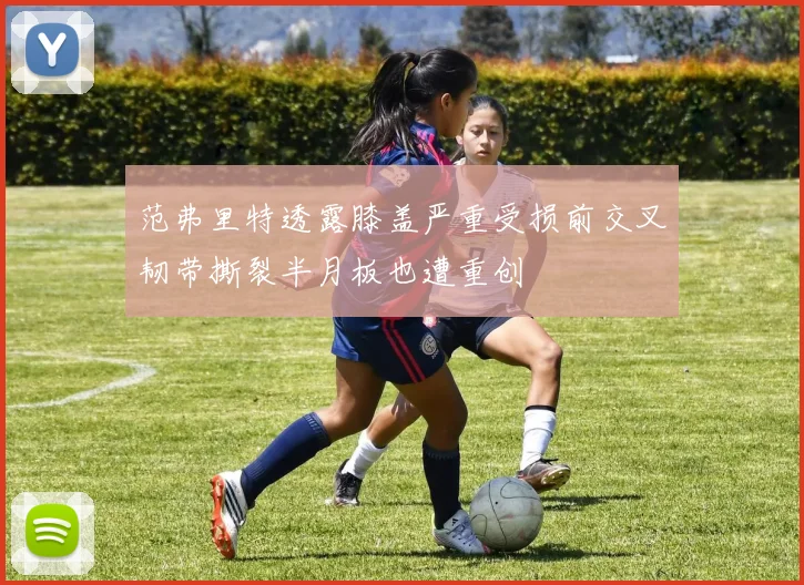 范弗里特透露膝盖严重受损前交叉韧带撕裂半月板也遭重创
